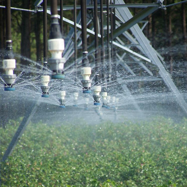 July is Smart Irrigation Month in Georgia